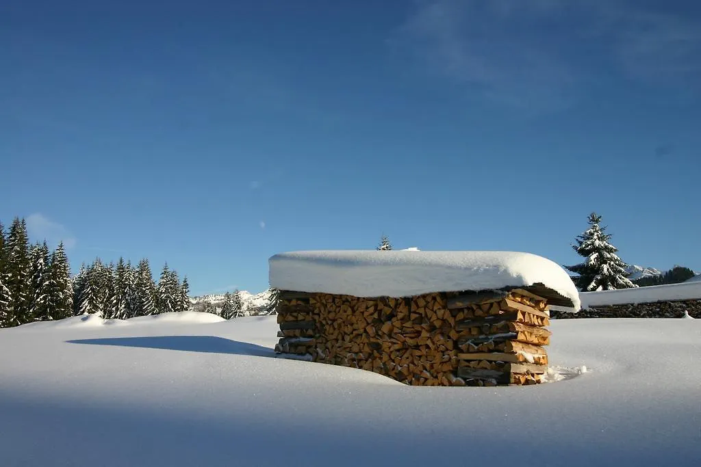 Daire Chalet Genepi Montriond